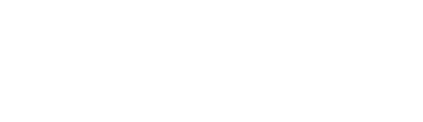 GSS — Global Students Solution